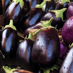 Pourquoi les résidents d'été aiment la variété d'aubergine Black Handsome et comment la cultiver