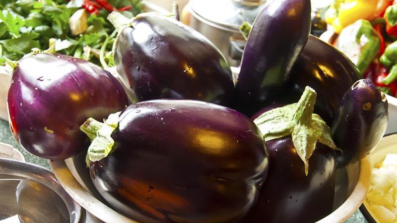 Pourquoi les résidents d'été aiment la variété d'aubergine Black Handsome et comment la cultiver
