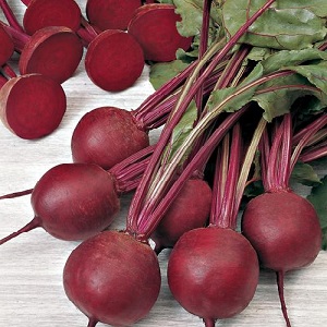 Betterave hollandaise hybride Action F1: caractéristiques de la culture et secrets d'un bon entretien