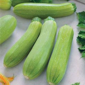 Variété de courgettes Cavili des éleveurs néerlandais: ce que vous pourriez aimer et comment la cultiver correctement