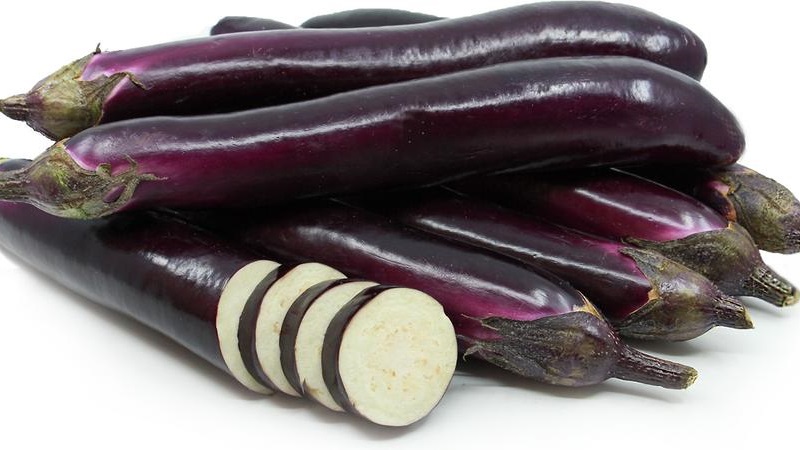 Comment faire pousser correctement l'aubergine résistante au gel King of the North