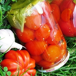 Comment cuisiner de délicieuses tomates marinées pour l'hiver: une sélection des meilleures recettes de ménagères expérimentées