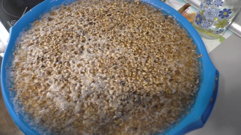 Comment faire du moonshine à partir de seigle à la maison