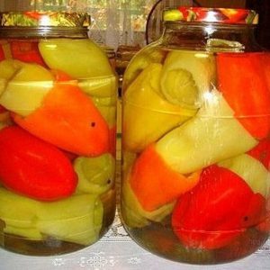 Blanks originaux à faire soi-même: comment saler les poivrons pour l'hiver de manière entièrement rapide et savoureuse