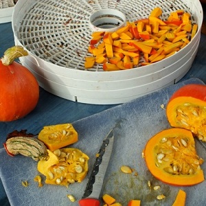 Collations saines à la maison: comment sécher correctement la citrouille dans une sécheuse électrique et avec ce que vous pouvez la manger