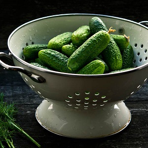 Comment faire pousser des concombres Harmonist et pourquoi ils sont bons