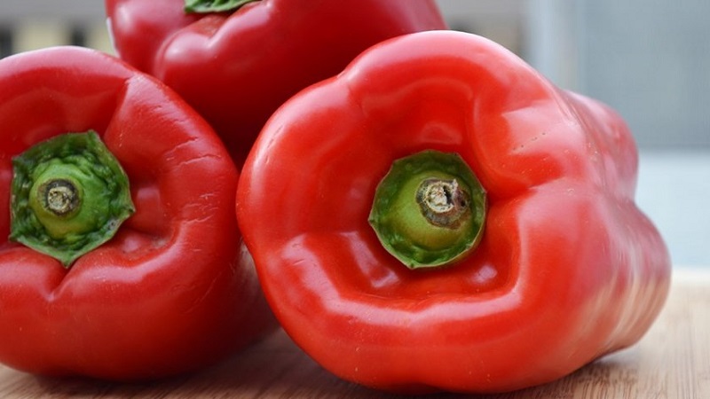 Comment faire pousser du poivre hybride Denis pour une riche récolte de fruits sucrés et juteux