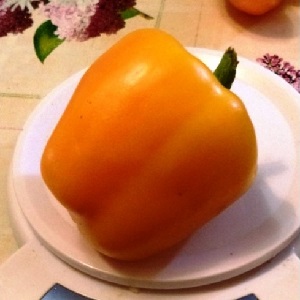 Comment faire pousser du poivre Bogdan sur votre site: un aperçu et les secrets pour obtenir une récolte riche