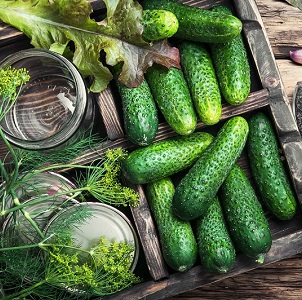 Comment préparer des cornichons croustillants pour l'hiver dans des bocaux est simple et savoureux