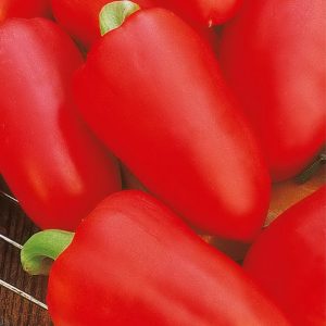 Pourquoi les résidents d'été adorent le piment Swallow: caractéristiques et description de la variété, ses avantages et ses inconvénients