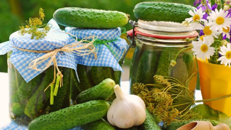 Les meilleures recettes pour saler les concombres sucrés pour l'hiver dans des pots de ménagères expérimentées