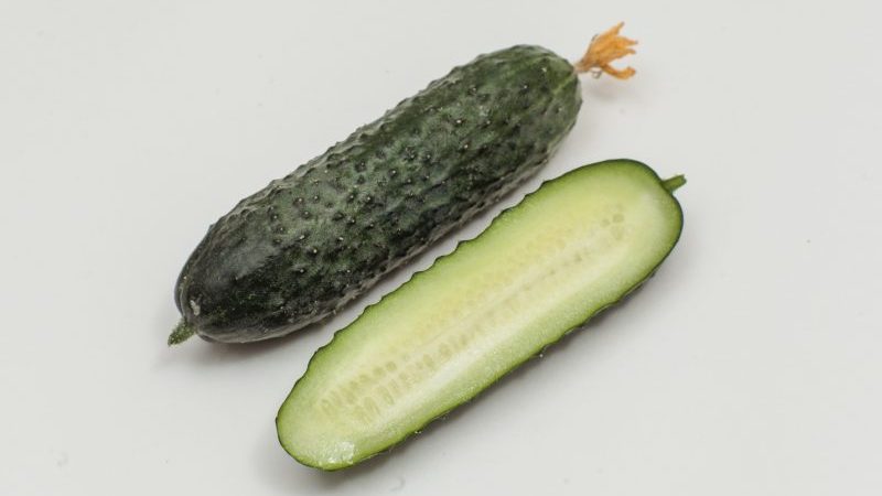 Vue d'ensemble des concombres Furor: avantages et inconvénients, caractéristiques de la culture et conseils pour la culture