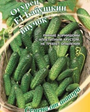 Petite-fille de la grand-mère hybride de concombre F1: description et caractéristiques de la technologie agricole