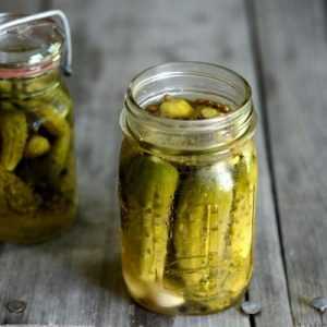 Concombre de mi-saison pollinisé par les abeilles Printemps des éleveurs moldaves