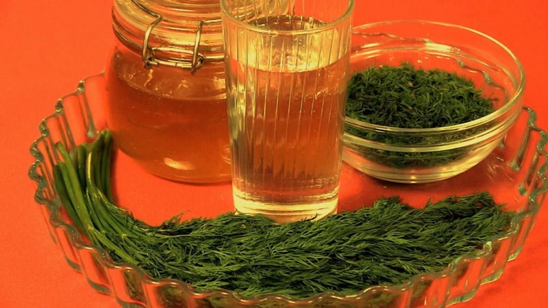 À quoi sert la décoction d'aneth, comment la cuisiner et l'utiliser correctement