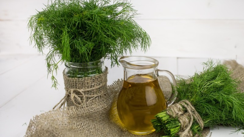À quoi sert la décoction d'aneth, comment la cuisiner et l'utiliser correctement