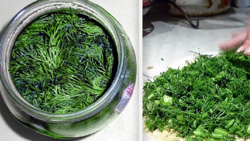 À quoi sert la décoction d'aneth, comment la cuisiner et l'utiliser correctement