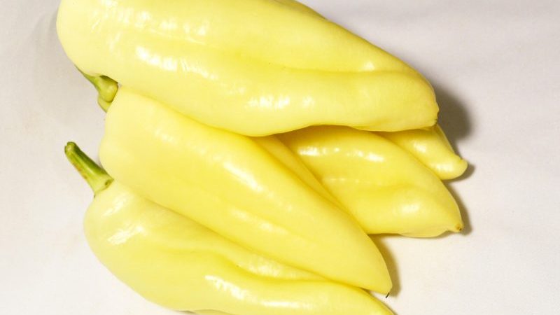 Pourquoi la variété de poivre Belozerka est bonne et pourquoi il vaut la peine d'essayer de la cultiver sur votre site