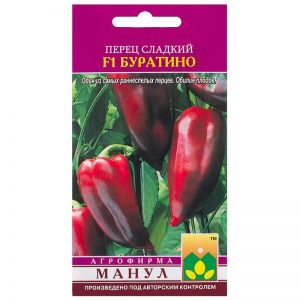 Piment Pinocchio hybride pour les amateurs de variétés sucrées et juteuses à haut rendement