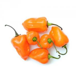 Comment faire pousser des piments habanero et utiliser correctement cet ingrédient en cuisine