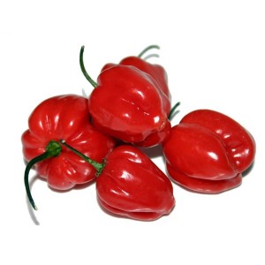 Comment faire pousser des piments habanero et utiliser correctement ce composant en cuisine