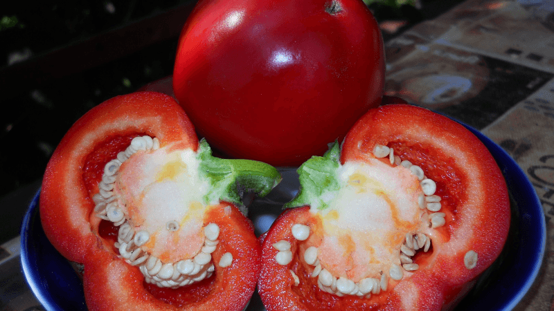 Une variété de poivre Kolobok éprouvée avec une forme inhabituelle et un goût excellent
