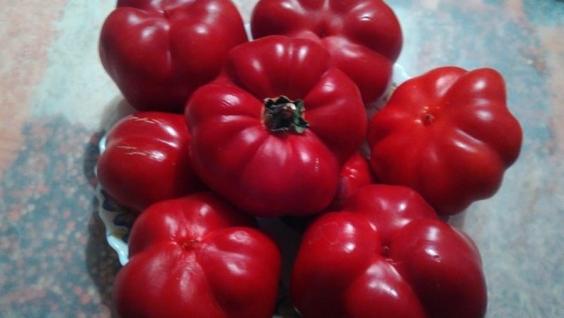 Examen de la variété de poivre Novogogoshary: critiques des agriculteurs, avantages et inconvénients, nuances de culture