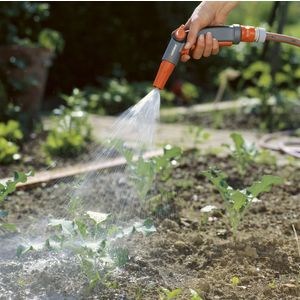 Pourquoi la citrouille pourrit-elle dans le jardin, que faire avec ce problème et comment éviter son apparition