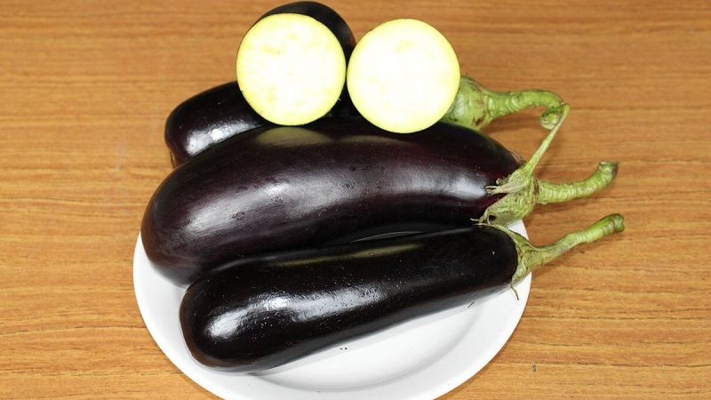 Un cadeau des éleveurs modernes - Aubergine Fabina F1 avec de gros fruits et des rendements impressionnants