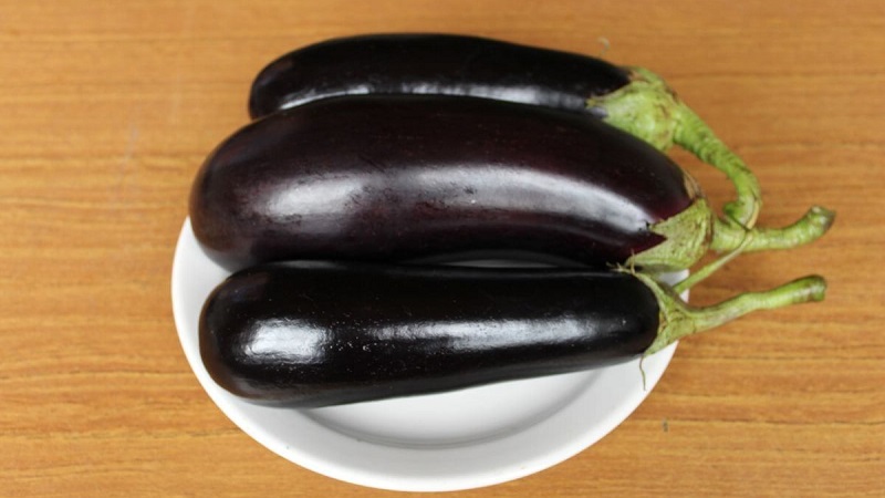 Un cadeau des éleveurs modernes - Aubergine Fabina F1 avec de gros fruits et des rendements impressionnants