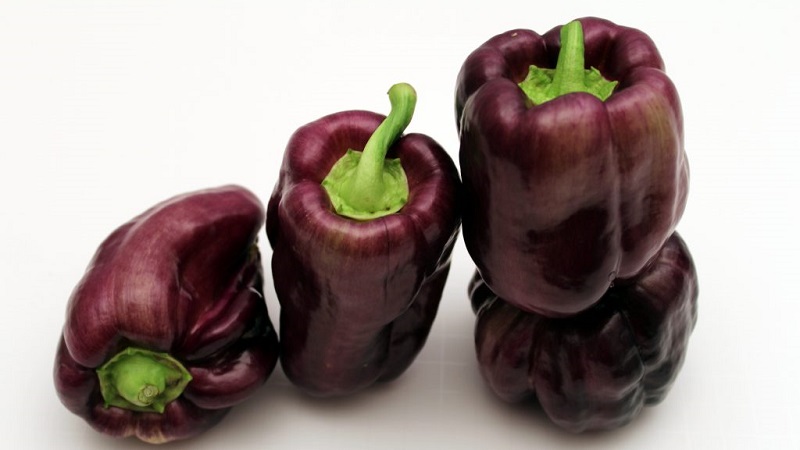 Une sélection des meilleures variétés de poivrons doux pour l'extérieur