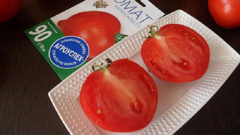Nous obtenons une récolte record avec la tomate de Hali Gali: astuces de vie des jardiniers et règles de base pour prendre soin d'un hybride