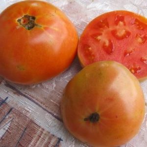 Que pouvez-vous retenir des tomates Masterpiece et comment obtenir une récolte décente
