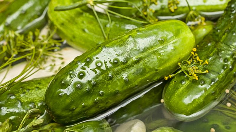 6 des plus délicieuses recettes de cornichons dans une casserole