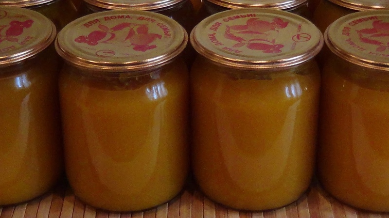 Les recettes les plus délicieuses et les plus saines pour faire du jus de citrouille dans un presse-agrumes pour l'hiver