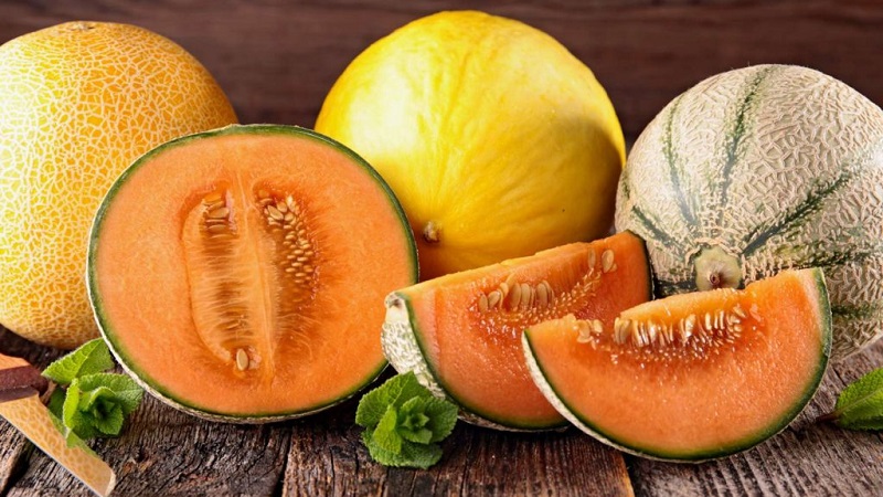 Combien de melon pouvez-vous manger par jour: taux de consommation, propriétés bénéfiques et teneur en calories