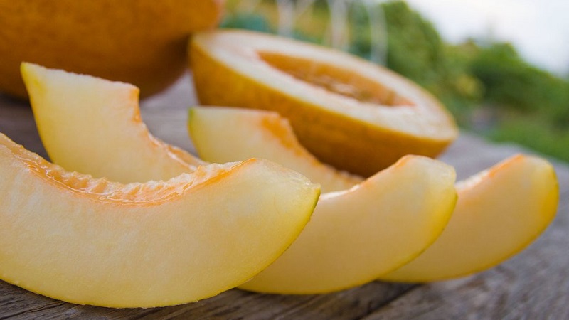 Combien de melon pouvez-vous manger par jour: taux de consommation, propriétés bénéfiques et teneur en calories