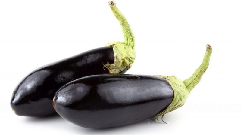 Examen de la variété d'aubergine Black Prince et instructions pour sa culture