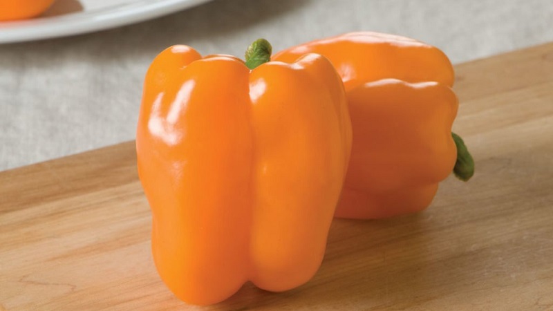 Variété de poivre Big Mama aux fruits orange sucrés juteux: nous cultivons facilement sur notre site