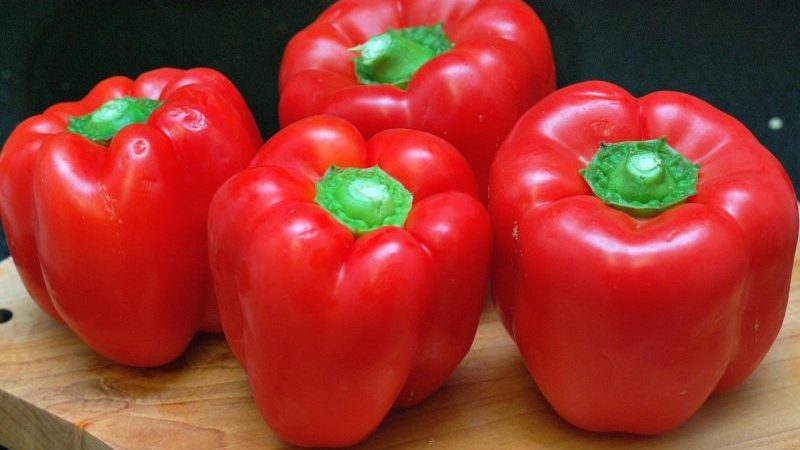 Pourquoi les jardiniers aiment tant la variété de poivre Bogatyr et comment la cultiver correctement