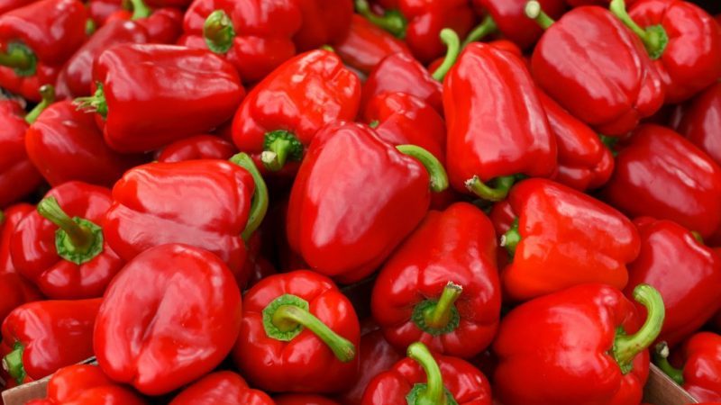 Poivre Prince de Sibérie juteux et parfumé: aperçu, instructions pour la culture, avantages et inconvénients