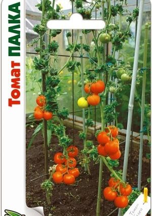 Caractéristiques de la variété Palka qui plairont à tous les résidents d'été