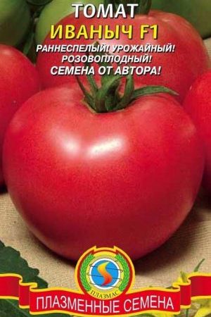 Suivez les instructions et la tomate hybride Ivanovich f1 vous surprendra avec une fructification abondante dans le jardin ou dans la serre