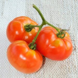 Une variété dont vous serez certainement satisfait - la tomate Kemerovets et les secrets de son entretien