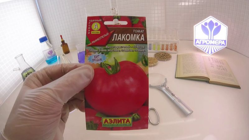 La tomate Lakomka justifie-t-elle son nom et que disent les maraîchers de la variété?