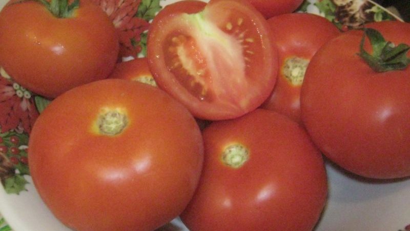 La tomate Lakomka justifie-t-elle son nom et que disent les maraîchers de la variété?