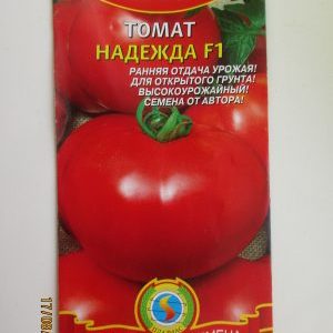 Comment faire pousser une tomate Nadezhda F1: facile à vivre, précoce et agréable avec une récolte riche