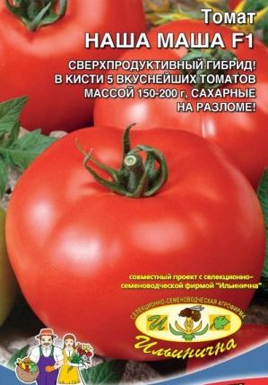 Guide du débutant pour cultiver une tomate hybride Our Masha F1