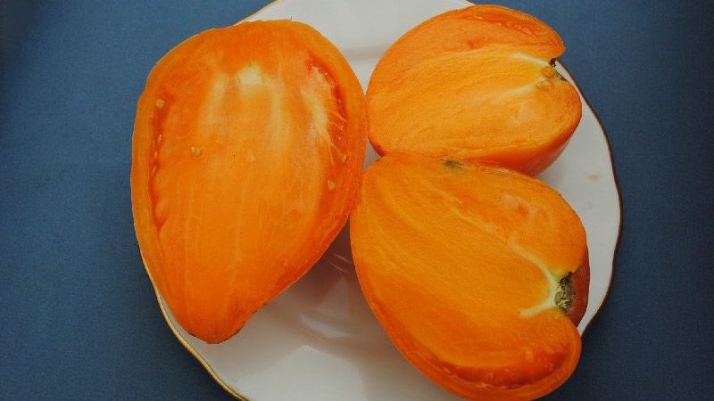 Délicieux et éprouvé Cœur de tomate d'Achgabat: un aperçu de la variété et des bases de sa culture