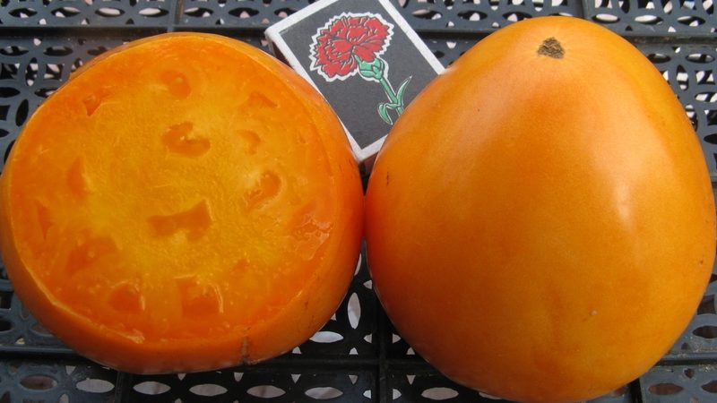 Délicieux et éprouvé Cœur de tomate d'Achgabat: un aperçu de la variété et des bases de sa culture